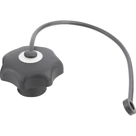 Kipp Star Grips with safety lanyard similar to DIN 6336, stainless, metric K0154.6105